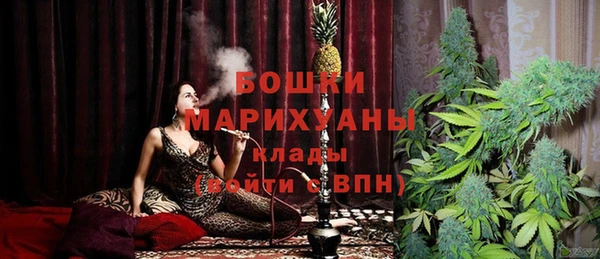 шишки Алексеевка