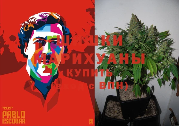 шишки Алексеевка