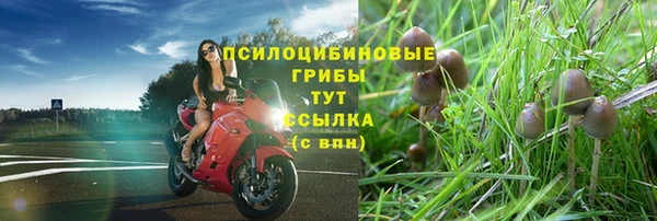 шишки Алексеевка
