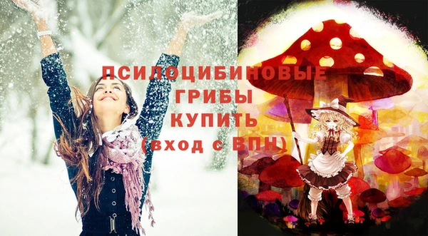 шишки Алексеевка