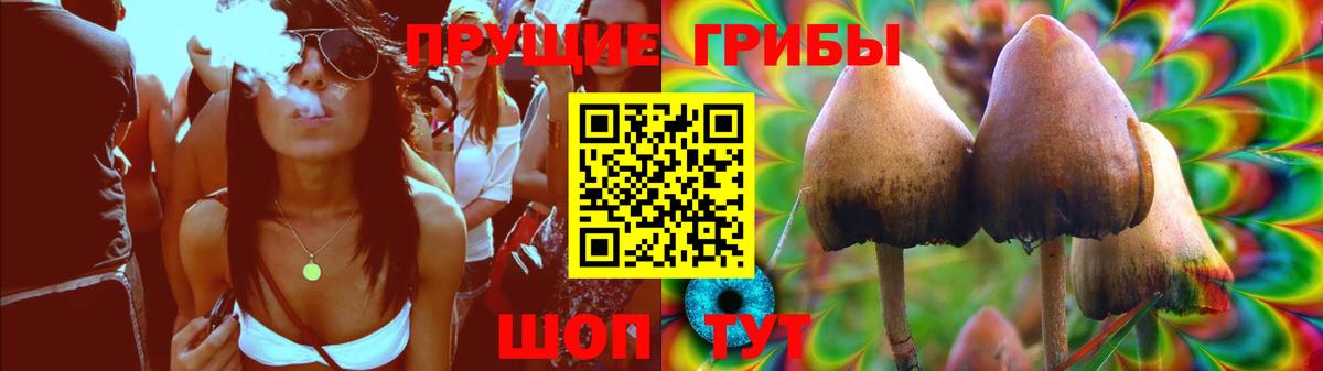 купить   Вход с VPN  Галлюциногенные грибы Psilocybe  Темрюк  Псилоцибиновые грибы прущие грибы 